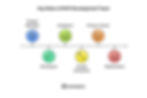 Key Roles of MVP Development Team