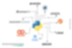 Top Python Development Companies