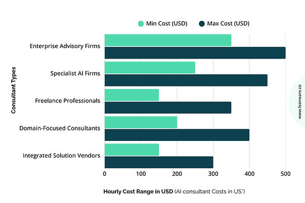Hourly Cost Range in USD (AI consultant costs in US)